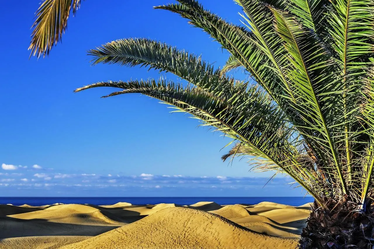 Holiday home Las Adelfas South Beach 2 By Canariasgetaway San Bartolome de Tirajana